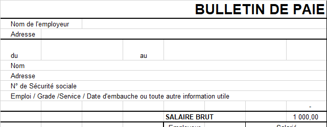 fiche de paye exemple